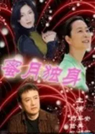 蜜月独身 海报