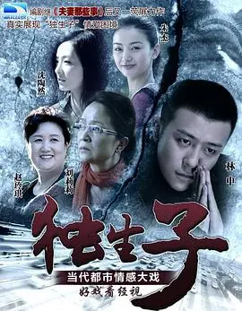 独生子 海报