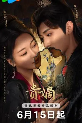 贵嫡 海报