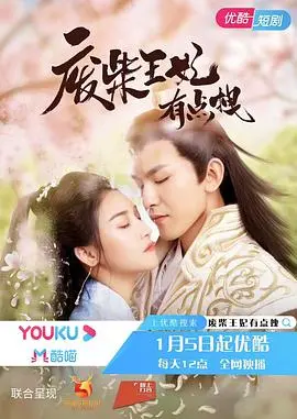 《废柴王妃有点拽》：甜宠轻喜剧？看废柴王妃如何逆袭！